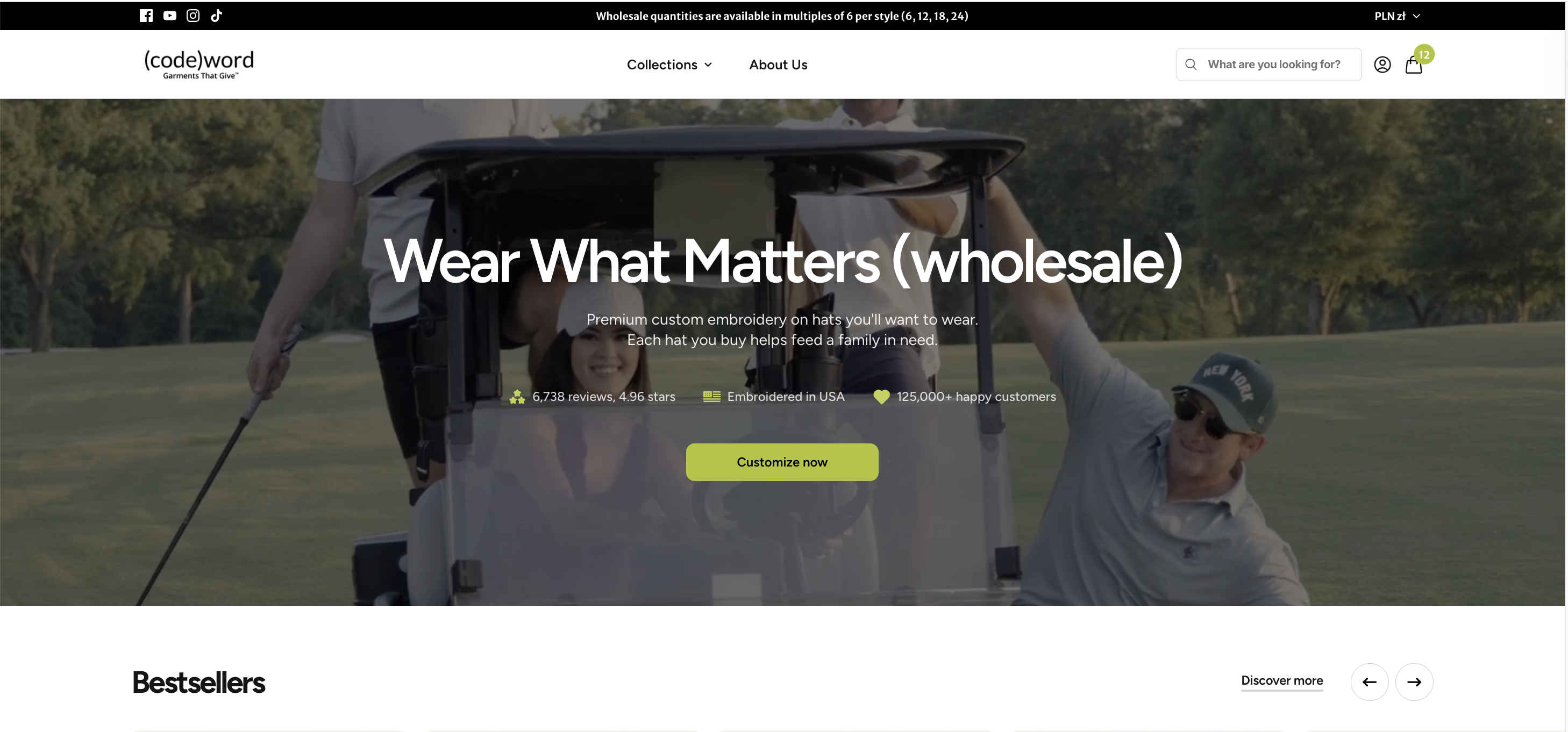Enhanced Search Interface – Variation screenshot